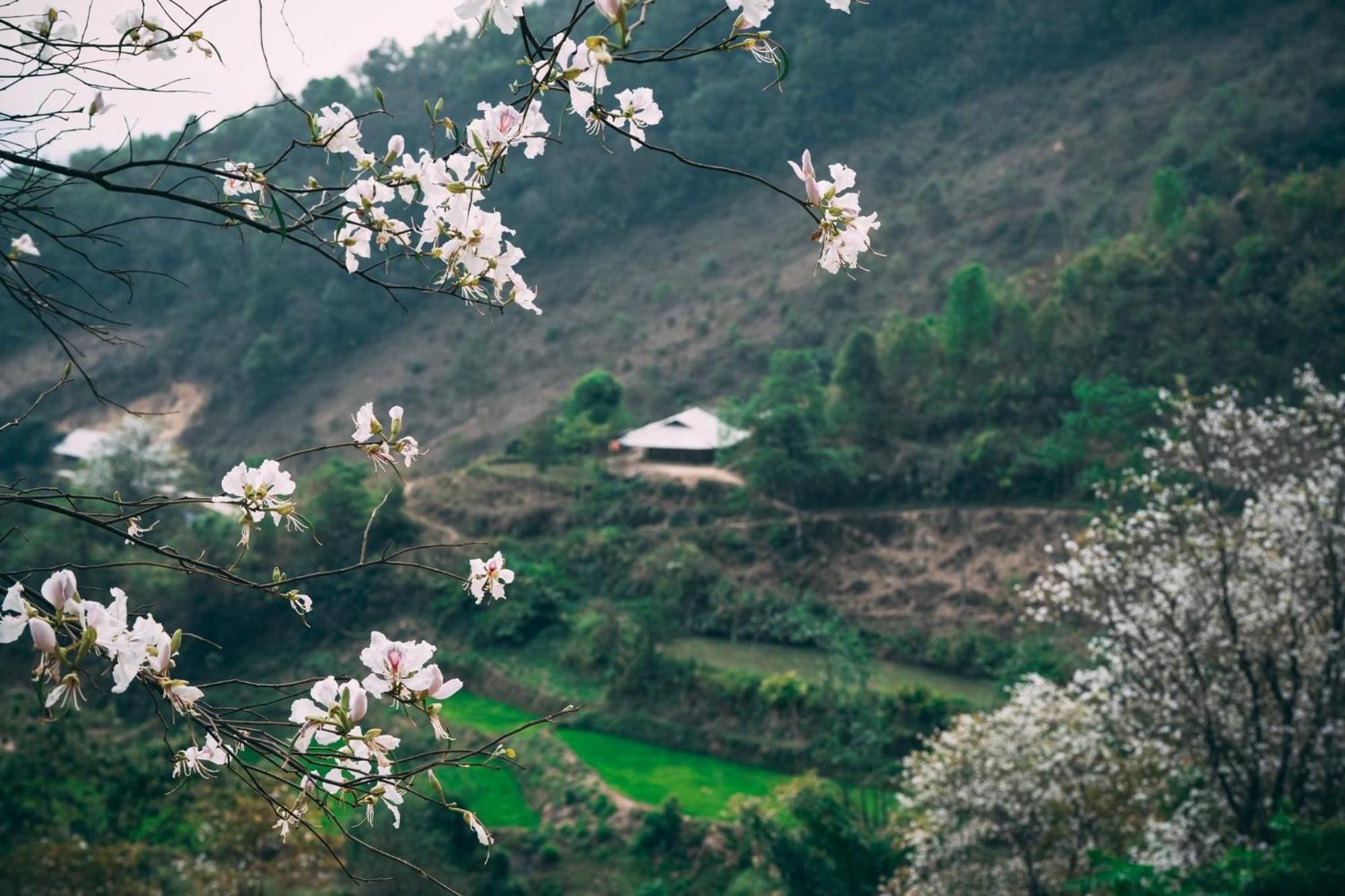 Minh Ngoc Homestay Dien Bien Phu Ban Hin Lom Eksteriør bilde