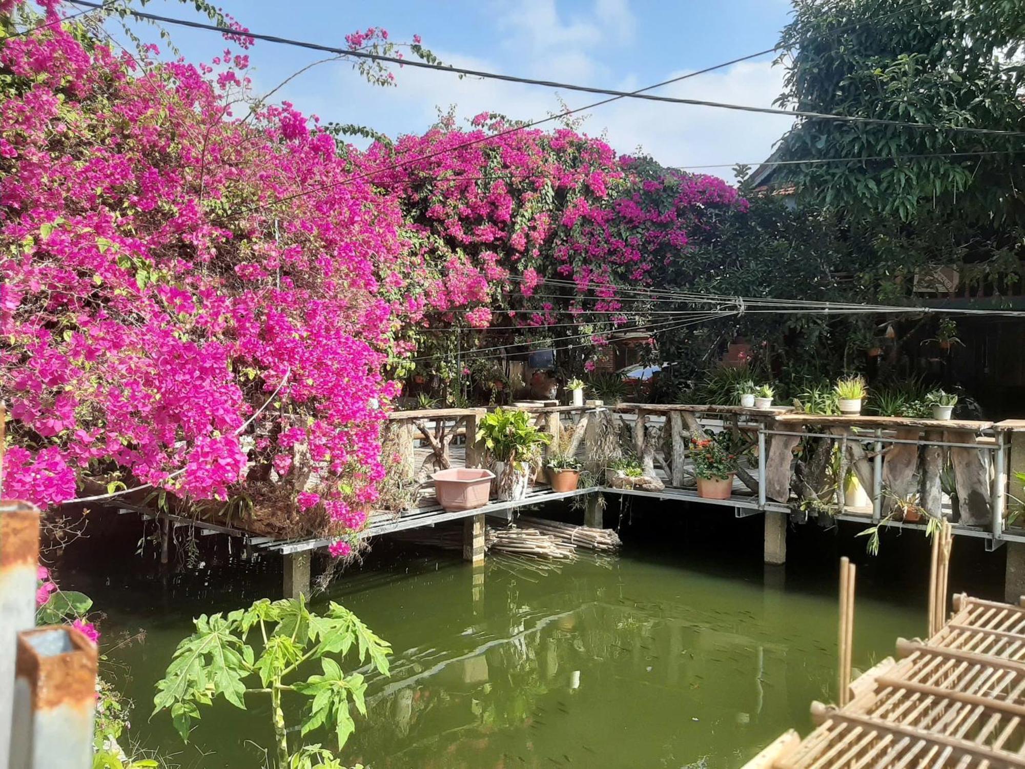 Minh Ngoc Homestay Dien Bien Phu Ban Hin Lom Eksteriør bilde