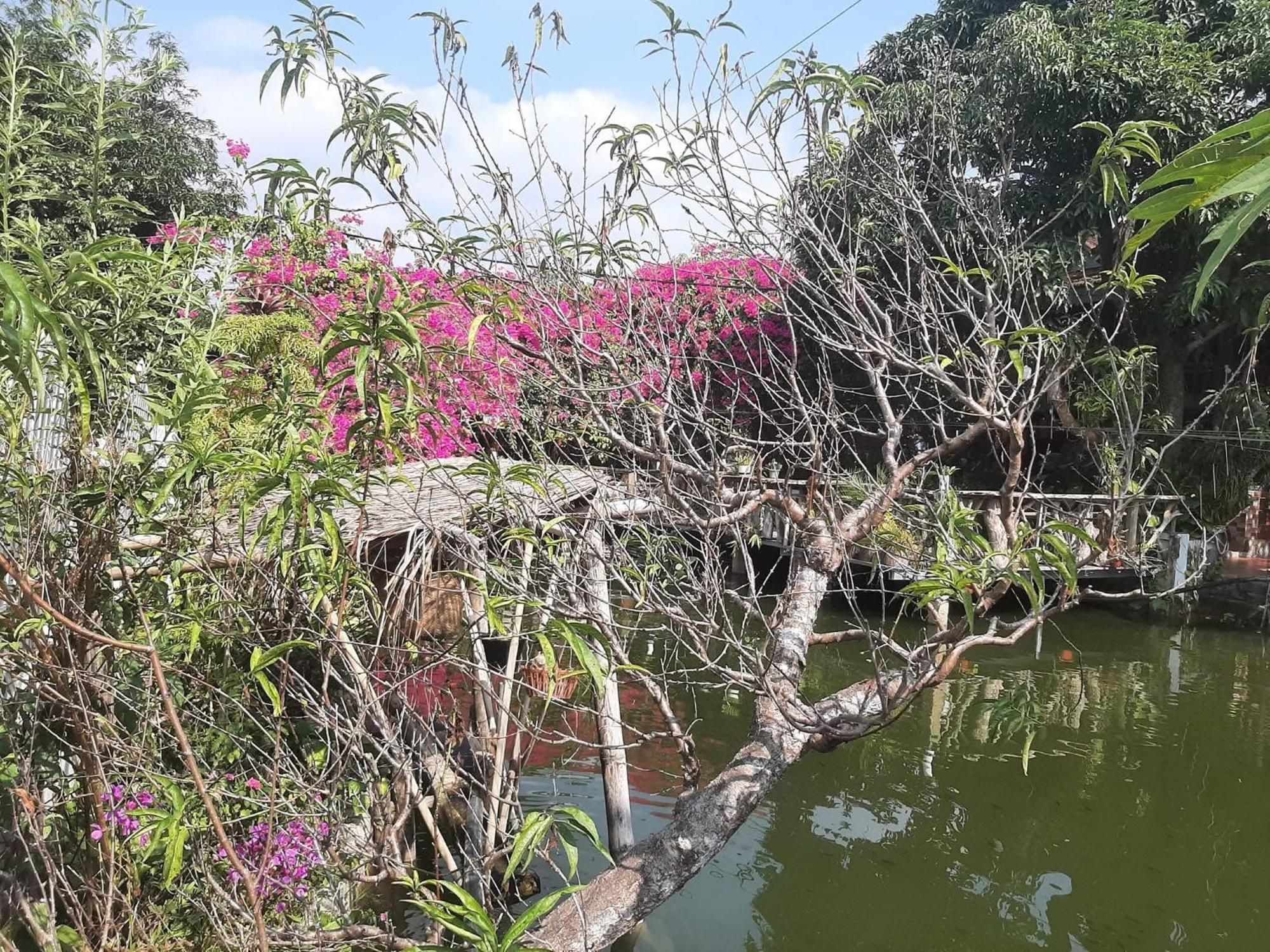 Minh Ngoc Homestay Dien Bien Phu Ban Hin Lom Eksteriør bilde