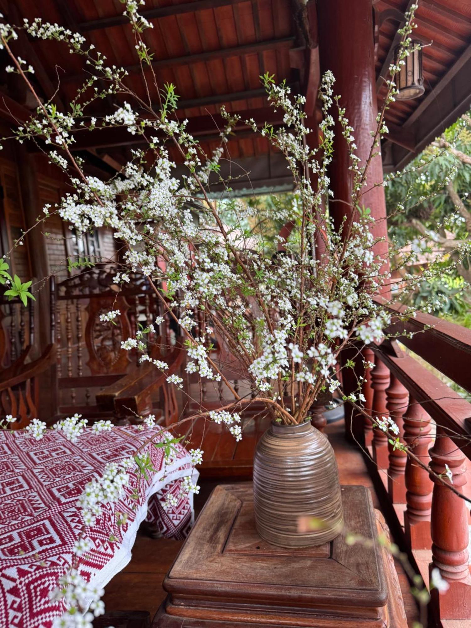 Minh Ngoc Homestay Dien Bien Phu Ban Hin Lom Eksteriør bilde