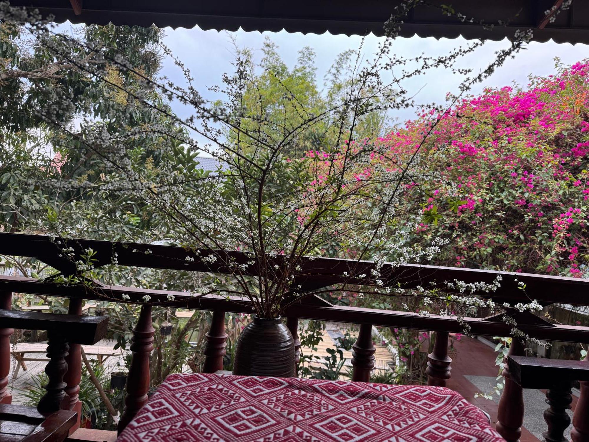 Minh Ngoc Homestay Dien Bien Phu Ban Hin Lom Eksteriør bilde